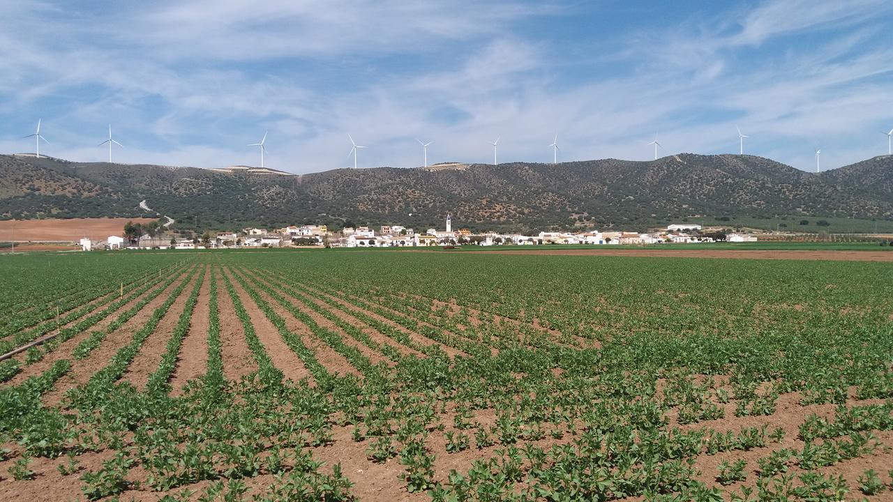 Posada Ana Ponce Sierra de Yeguas Eksteriør billede
